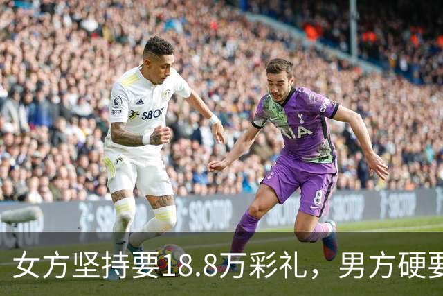 女方坚持要18.8万彩礼，男方硬要婚检，结果出来后全家炸锅！